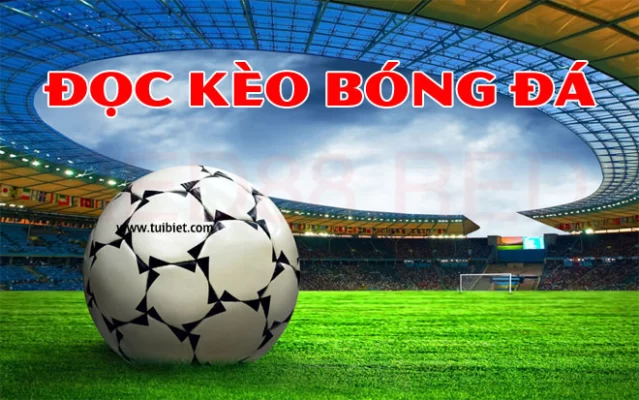 Đọc kèo thể thao RED88 có khó không?