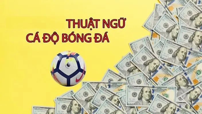 Thuật ngữ cá độ bóng đá và nhiều điều bạn chưa biết