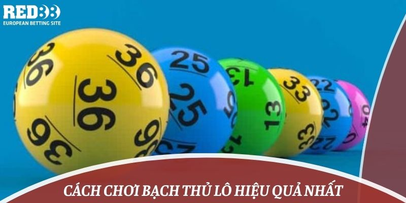 Cách chơi bạch thủ lô hiệu quả nhất